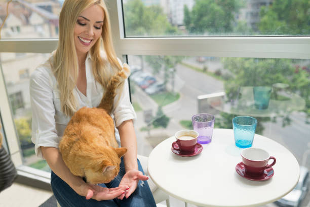 istock Woman with cat at cafe 691113872