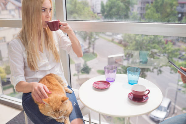 istock Woman with cat at cafe 691114024