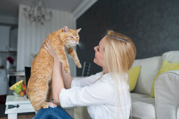 istock Woman with cat working at home 691123744