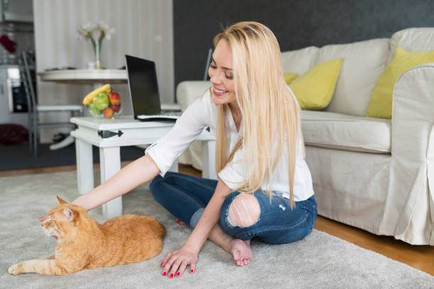 istock Woman with cat working at home 691123746