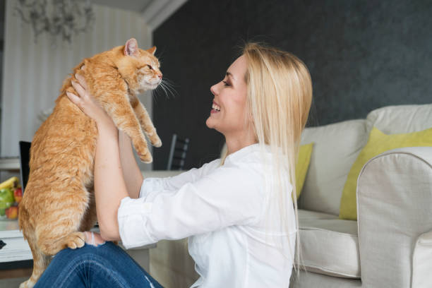 istock Woman with cat working at home 691123752