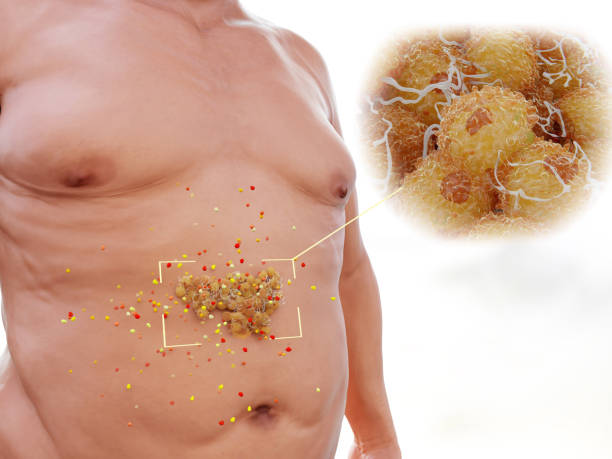 Visceral fat is highly hormonally active stock photo