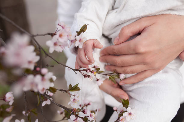 istock Baby touching flowers. children's hands closeup 691136612
