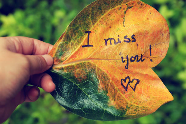istock i miss you on old leaf 691137500