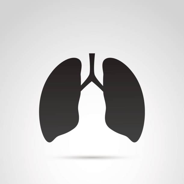 Lungs vector icon. Vector art: lungs symbol. pulmons stock illustrations
