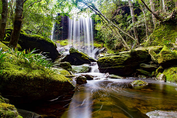 istock Scenic View Of Waterfall In Rainforest 691149441