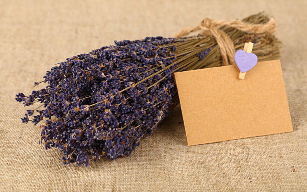 istock Close-Up Of Envelope By Lavender Bouquet On Fabric 691152523