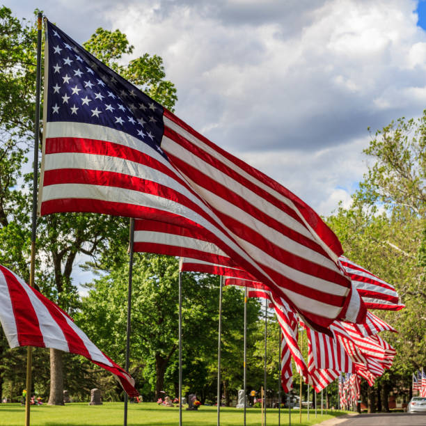 American flags flying in the breeze Multiple American flags in a row flying in the breeze along a roadside in celebration of Memorial Day parade photos stock pictures, royalty-free photos & images
