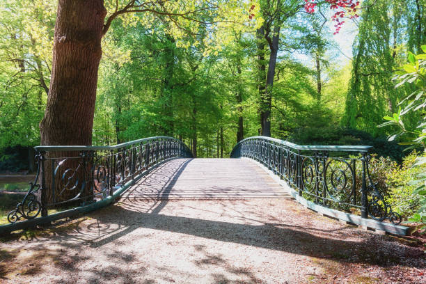 公園のトイレで装飾的なブリッジ - apeldoorn ストックフォトと画像