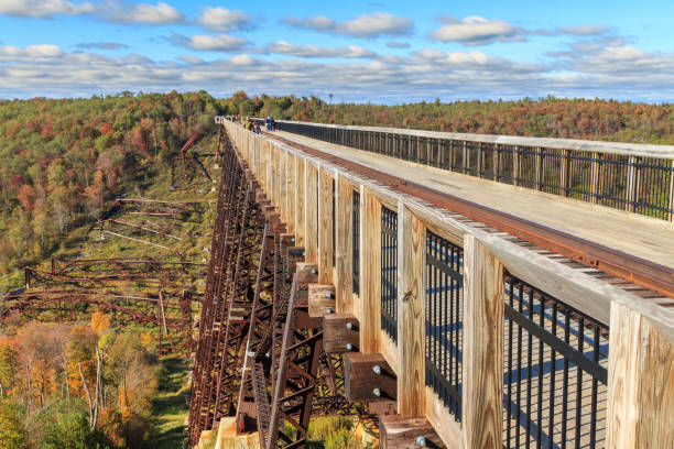 790+ Foresta Nazionale Di Allegheny Immagine Foto stock, immagini e