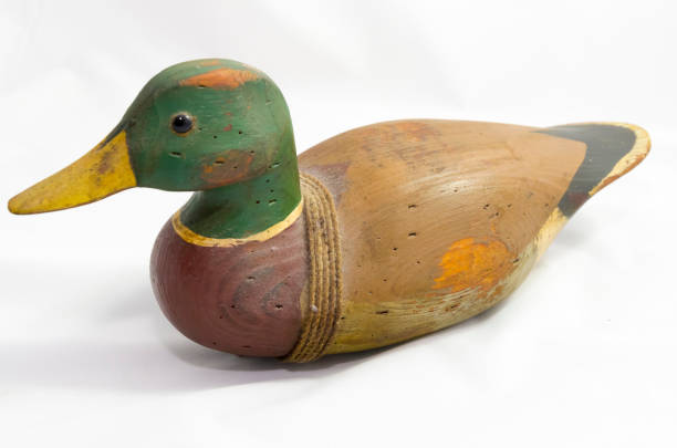 canard decoy - decoy photos et images de collection