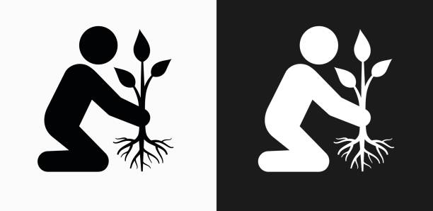 ilustrações, clipart, desenhos animados e ícones de plantar a árvore ícone em preto e branco vector backgrounds - nature black and white leaf black background