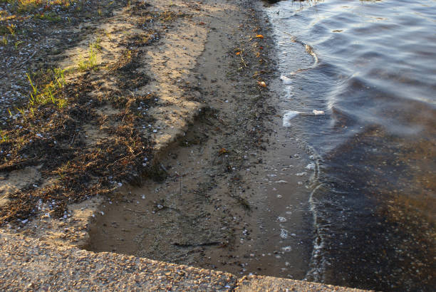 istock Freshwater Enviornment 691173466