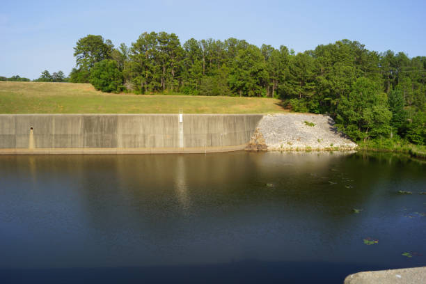 istock Freshwater Enviornment 691174178