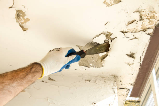 istock Construction worker's hand in the protective glove removes the old paint from the ceiling with a spatula. 691177622