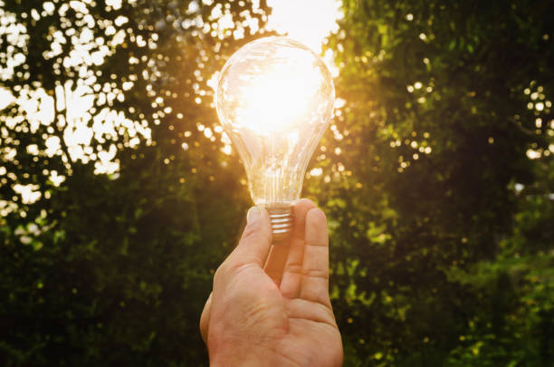 concept  hand hold light bulb solar energy in nature