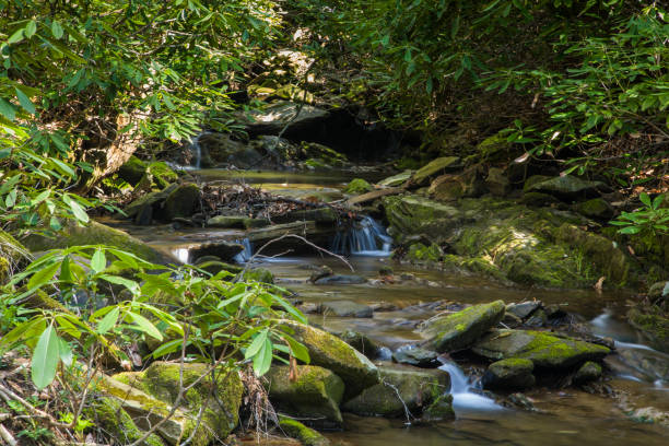 istock Glen Burney Trail, Blowing Rock, North Carolina 691182174