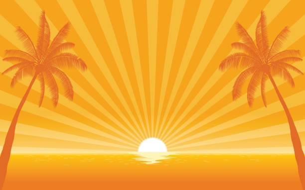 illustrations, cliparts, dessins animés et icônes de palmier de silhouette sur la plage dans la conception d’icône plate avec fond de rayon de soleil - tropical climate florida backgrounds island