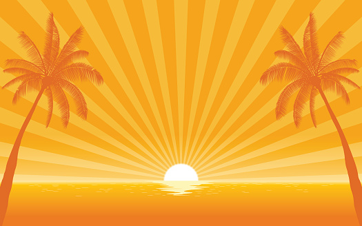 Silhouette palm tree on beach in flat icon design with sunshine ray background