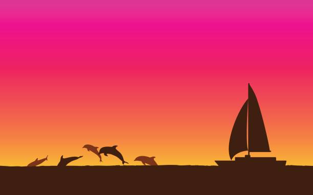Silhouette jumping dolphin and sailboat in flat icon design with sunset sky background