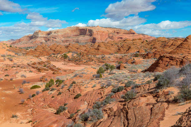 istock The Wave, Amazing Sandstone in Arizona 691188964