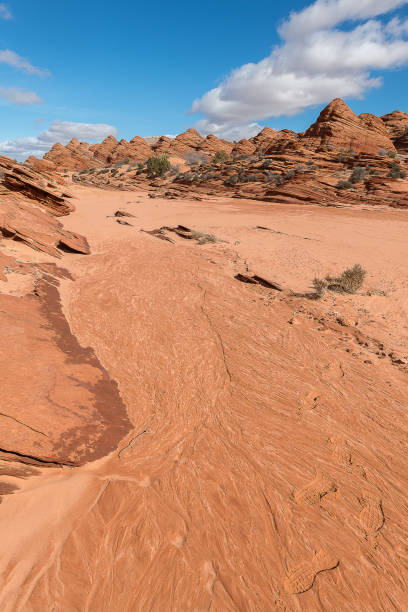 istock The Wave, Amazing Sandstone in Arizona 691189026