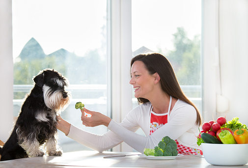 Smiling young woman giving broccoli to a dog at dining table. Healthy feeding concept