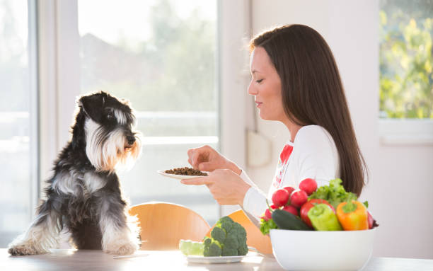 istock Woman feeding dog at table 691195568