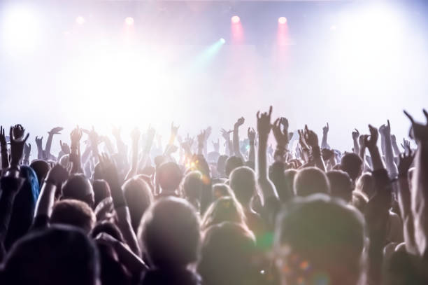 istock cheering crowd at a rock concert 691199070