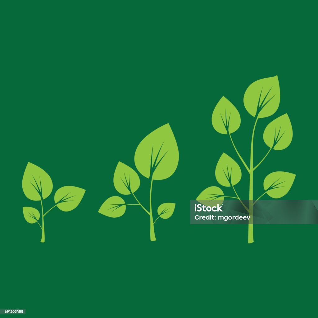 Growth Tree Graphik Tree Growth Diagram Green Tree Growth Stock Illustration - Download ...