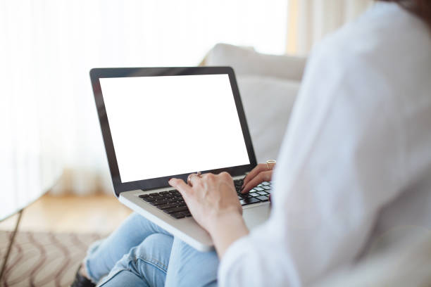 istock Cropped image of woman using laptop with blank screen 691217474