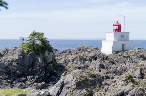 istock Vancouver Island Pacific coast 691217762