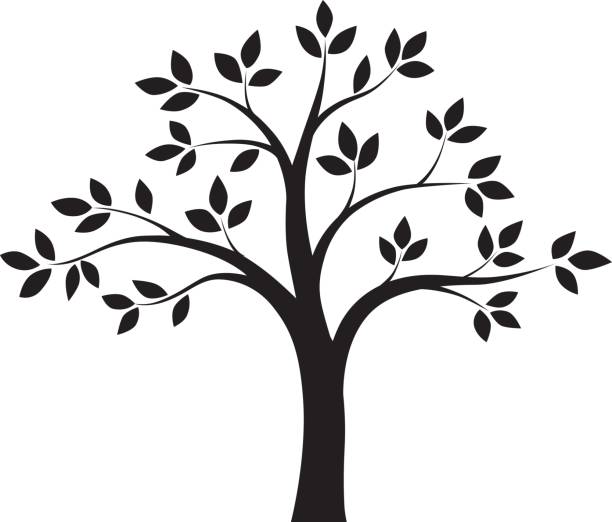 illustrations, cliparts, dessins animés et icônes de arbre noir et blanc. vector - flower single flower leaf tree