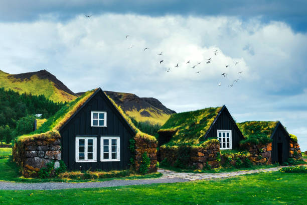 houses Traditional houses with grass on roof in Iceland sod roof stock pictures, royalty-free photos & images