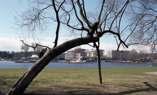 istock Spring landscape. Beautiful trees over a pond in the park. 691225660