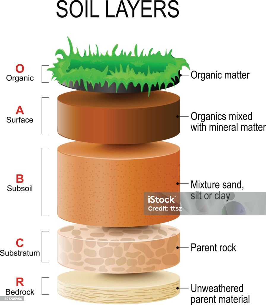 soil layers soil layers. Soil Formation and Soil Horizons. Soil is a mixture of plant residue and fine mineral particles, which form layers. Vector diagram Dirt stock vector
