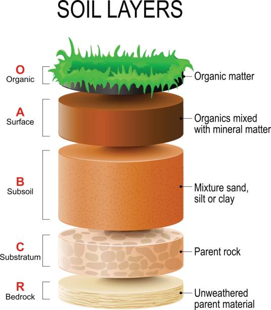 soil layers soil layers. Soil Formation and Soil Horizons. Soil is a mixture of plant residue and fine mineral particles, which form layers. Vector diagram silt stock illustrations