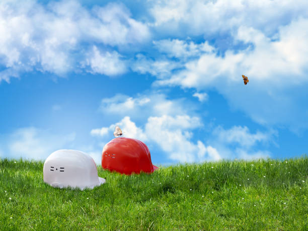 Man and teenage girl lying on grass in a park. Outdoor photography in a park setting. Relaxation and nature concept. Flat lay composition.