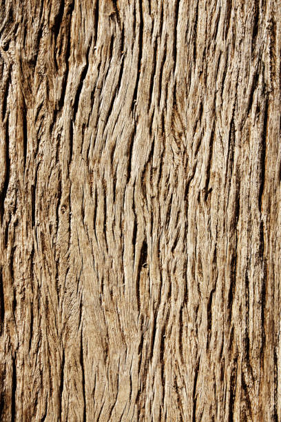 istock Texture of old wooden board 691238252