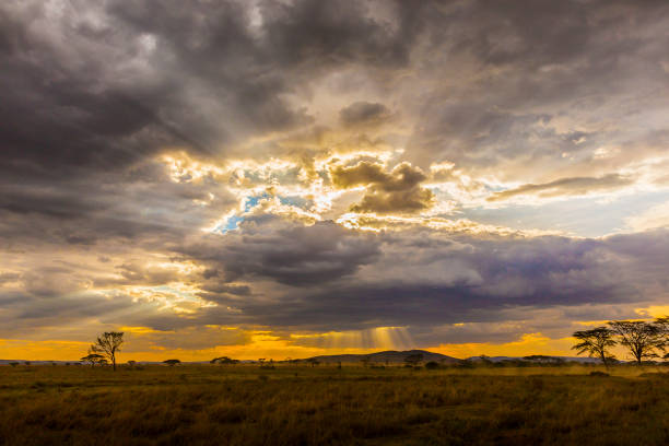 istock Beautiful and dramatic african landscape 691238276
