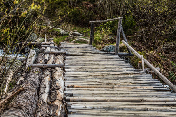 istock Old wooden bridge over mountain river 691238454