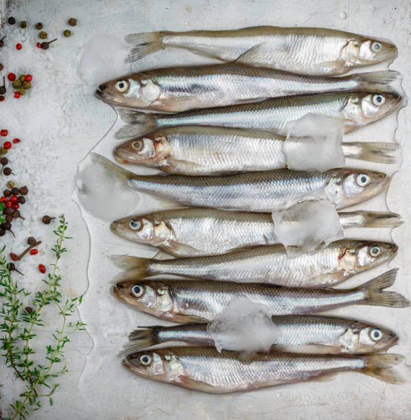 istock Fresh smelt for frying with spices. Small fish. Selective focus 691244114