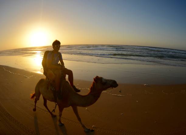 istock Camel Riding in Africa 691245908