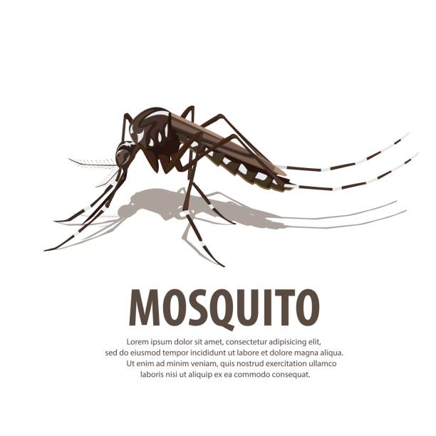mosquito illustration vector. Target on mosquito. pest control logos silhouette stock illustrations