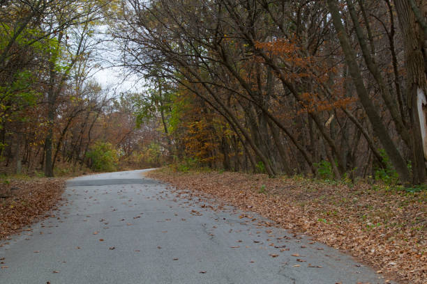 istock Lonely winding road in autumn 691255564
