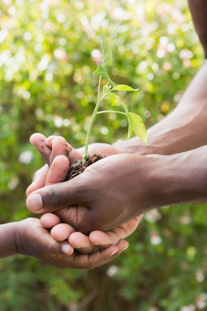 istock A man plant a flowers with a child 691259068