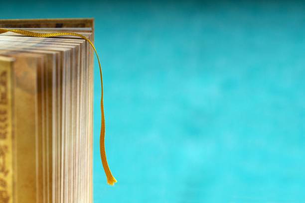 istock Book on a blue background. Back to school. Copy space 691261946