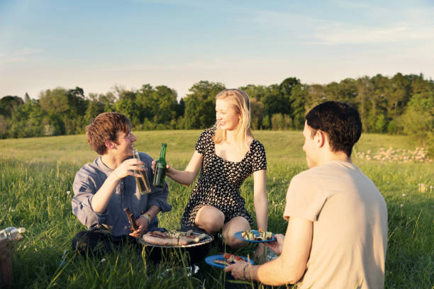 istock Friends toasting bottles and having a picnic on field 691263372