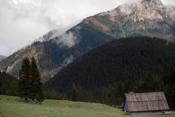 istock Dawn in the mountain valley 691266130