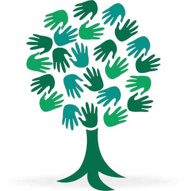 ilustrações, clipart, desenhos animados e ícones de mãos de árvore verde - community outreach tree education people